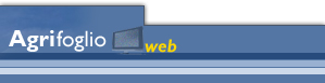 Tgweb SSA
