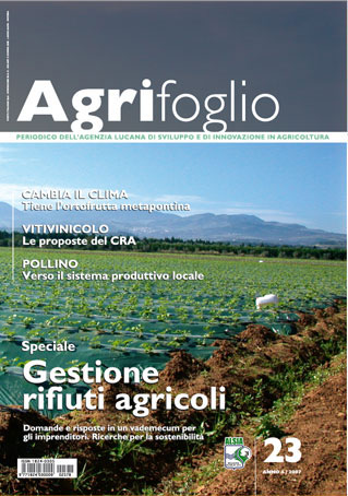 Agrifoglio on-line