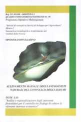 Allevamento Massale Antagonisti Naturali Cotonello Agrumi