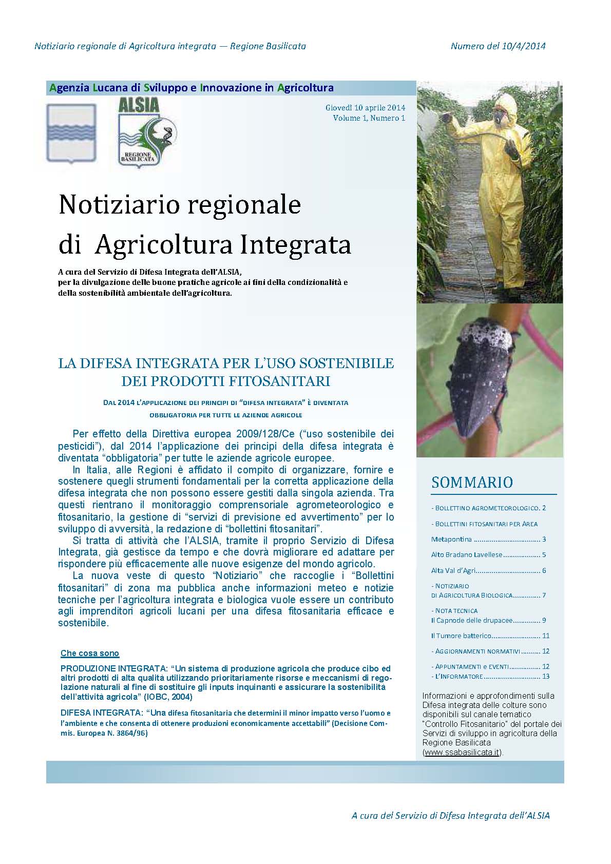 ??? Immagine/Didascalia ???