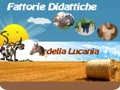 Associazione Fattorie didattiche della Lucania