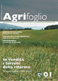 Agrifoglio on-line