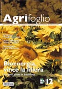 Agrifoglio on-line