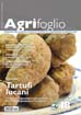 Agrifoglio on-line