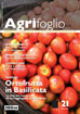 Agrifoglio on-line