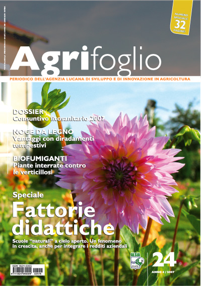 Agrifoglio on-line