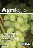 Agrifoglio on-line