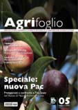 Agrifoglio on-line