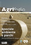Agrifoglio on-line
