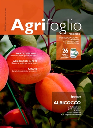 Agrifoglio on-line