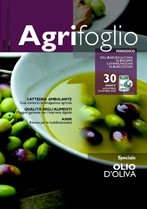 Agrifoglio on-line