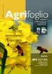 Agrifoglio on-line