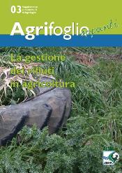Monografia