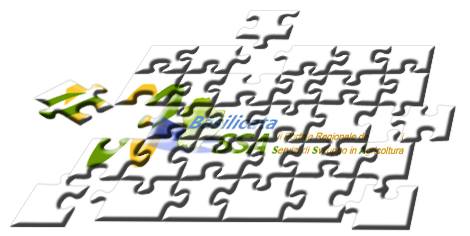 Costruzione