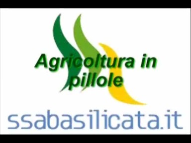 pillole
