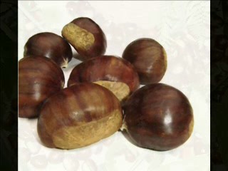 Castagne